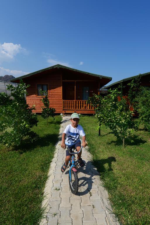 Yildiz Pension Bungalows Çıralı Rom bilde