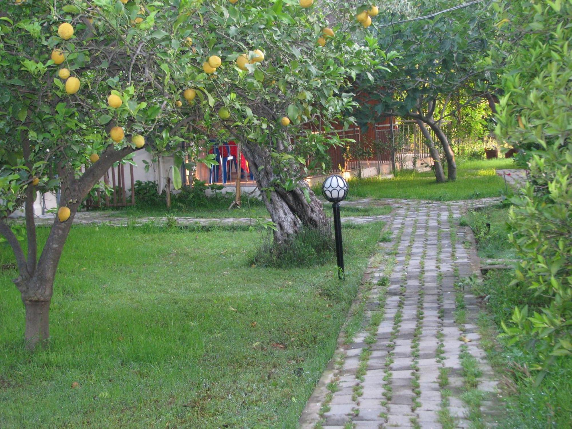 Yildiz Pension Bungalows Çıralı Eksteriør bilde