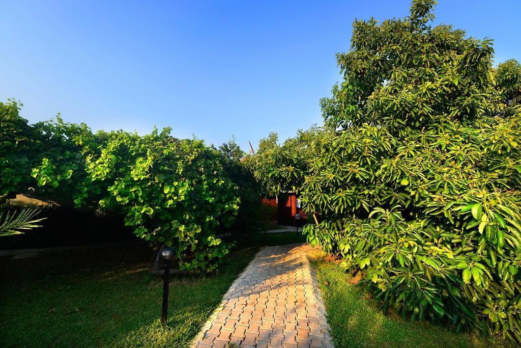 Yildiz Pension Bungalows Çıralı Eksteriør bilde