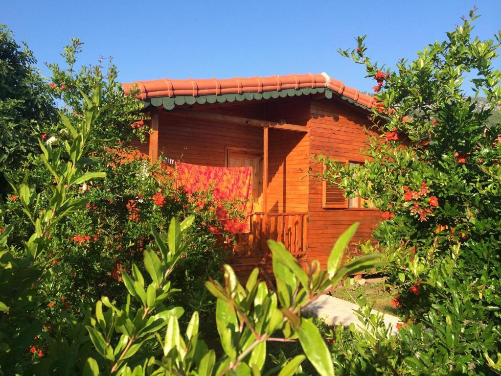 Yildiz Pension Bungalows Çıralı Rom bilde